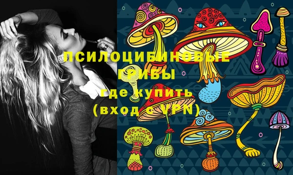 apvp Абинск