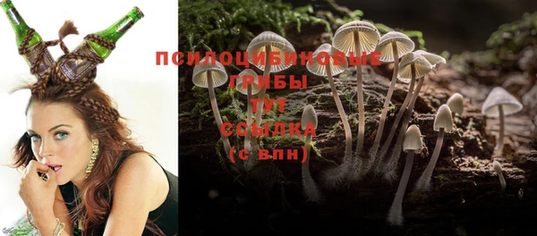 apvp Абдулино