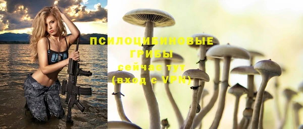 apvp Абинск