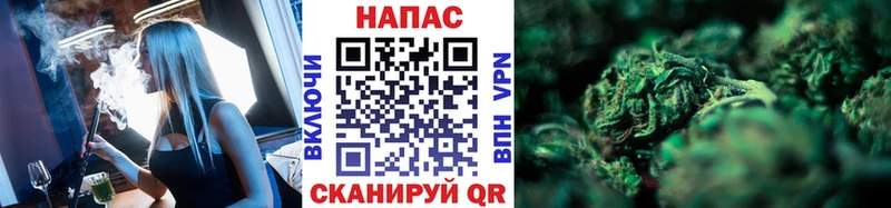Шишки марихуана сатива  mega ссылка  Данилов 